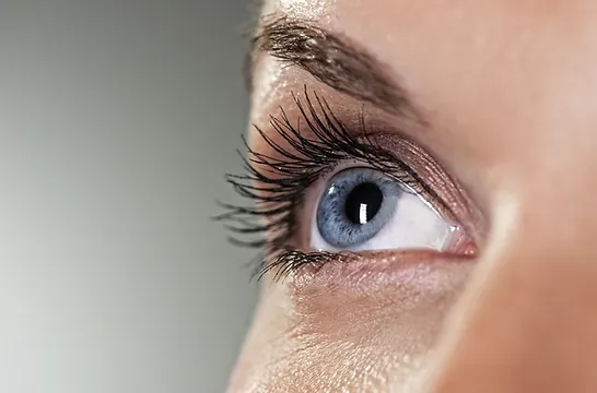 blue eye on grey background