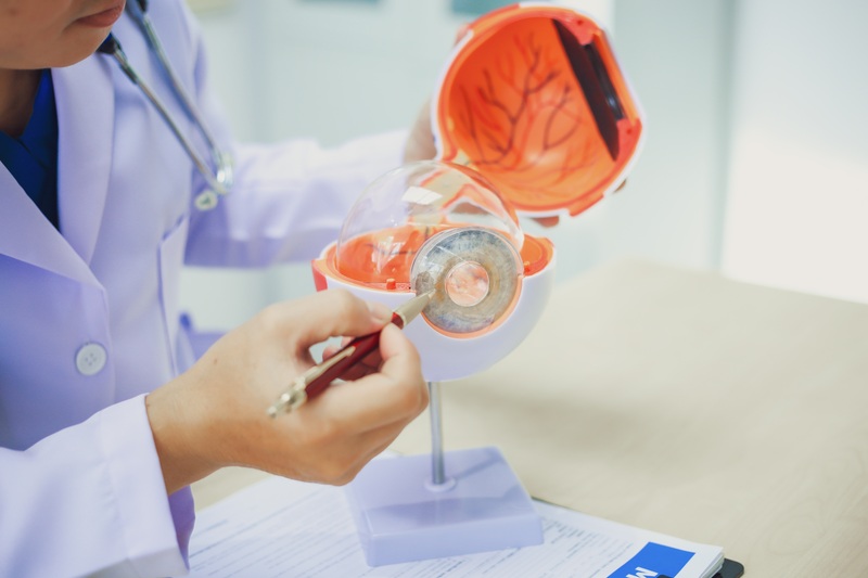eye doctor using a diagram of an eyeball